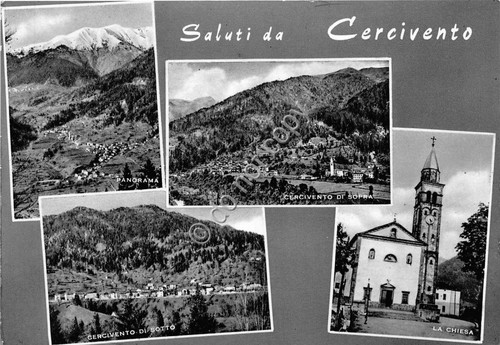 Cartolina - Postcard - Saluti da - Cercivento - Vedutine …