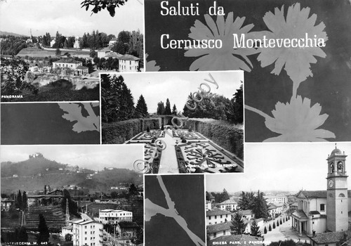 Cartolina - Postcard - Saluti da - Cernusco Montevecchia - …