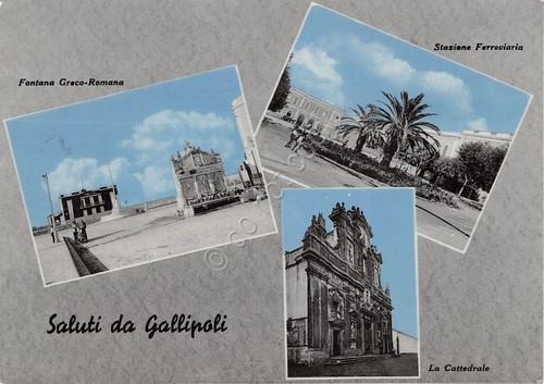 Cartolina - Postcard - Saluti da - Gallipoli - vedutine …