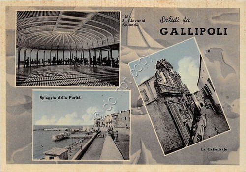 Cartolina - Postcard - Saluti da - Gallipoli - Vedutine …