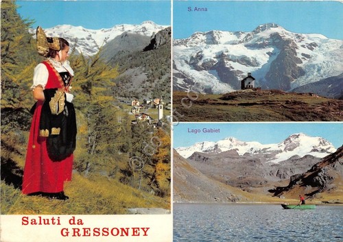 Cartolina - Postcard - Saluti da - Gressoney - vedutine …