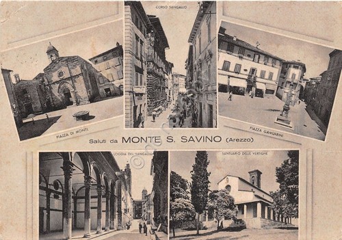 Cartolina - Postcard - Saluti da - Monte S. Savino …