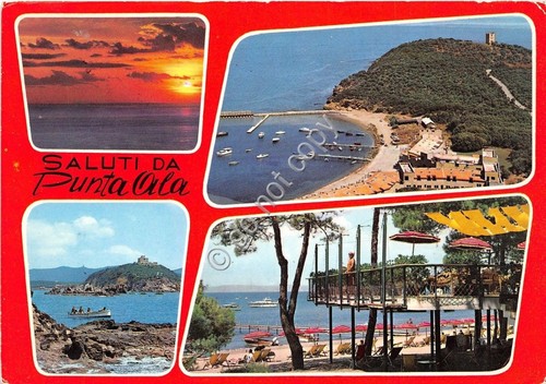 Cartolina - Postcard - Saluti da - Punta Ala - …
