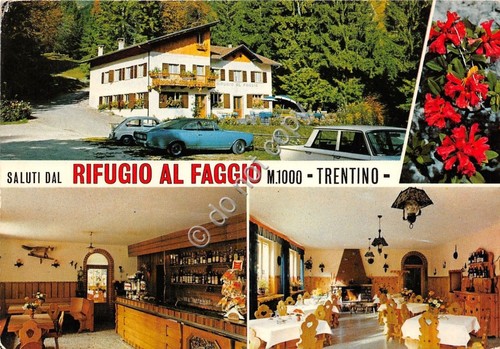 Cartolina - Postcard - Saluti da - Rifugio al Faggio …