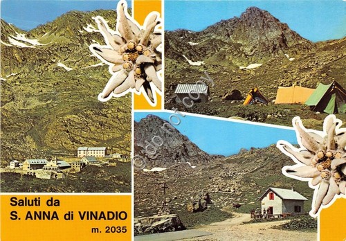 Cartolina - Postcard - Saluti da - S. Anna di …
