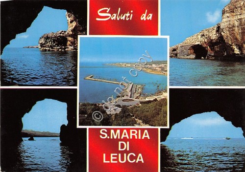 Cartolina - Postcard - Saluti da - S. Maria di …