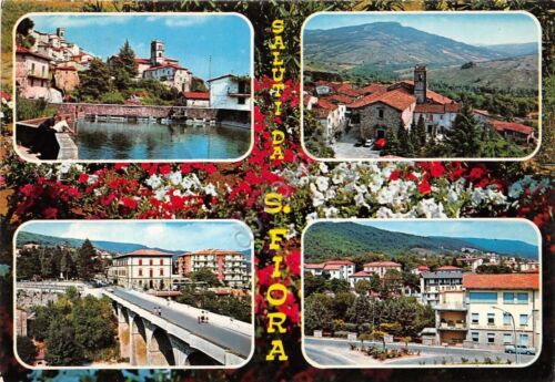 Cartolina - Postcard - Saluti da - San Fiora - …