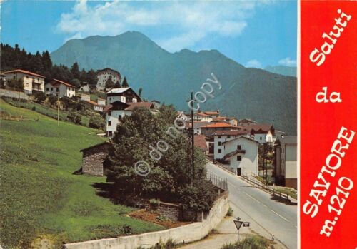 Cartolina - Postcard - Saluti da - Saviore - 1981 …