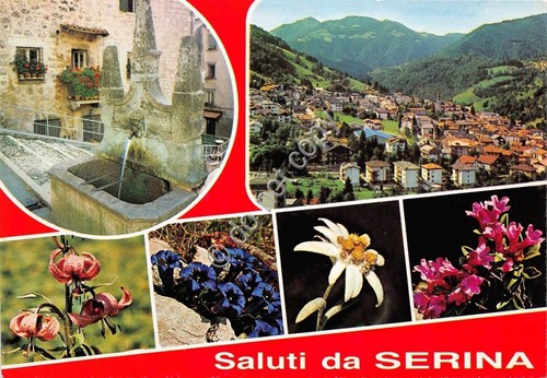 Cartolina - Postcard - Saluti da - Serina - Vedutine …