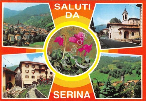 Cartolina - Postcard - Saluti da - Serina - Vedutine …
