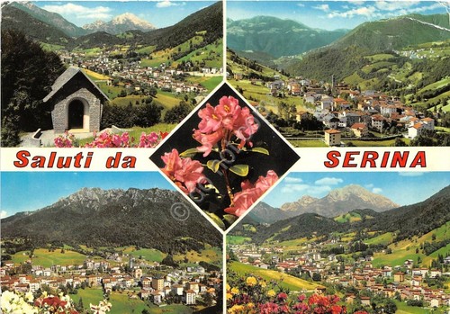 Cartolina - Postcard - Saluti da - Serina - Vedutine …