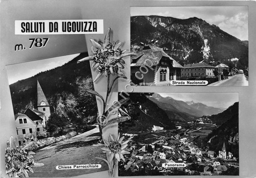 Cartolina - Postcard - Saluti da - Ugovizza - Vedutine …