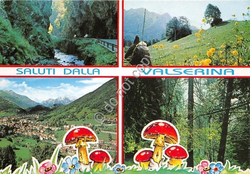 Cartolina - Postcard - Saluti da - Valserina - Vedutine …