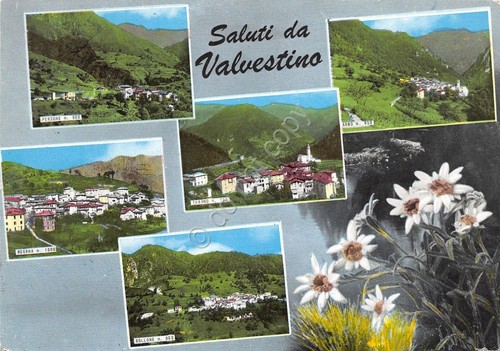 Cartolina - Postcard - Saluti da - Valvestino - Vedutine …