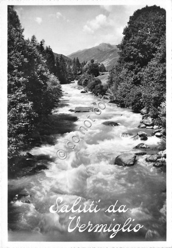 Cartolina - Postcard - Saluti da - Vermiglio - torrente …