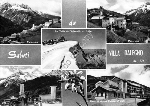 Cartolina - Postcard - Saluti da - Villa Dalegno - …