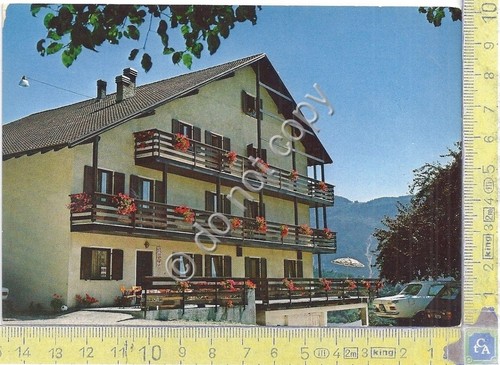 Cartolina - Postcard - Samone - Albergo Cristo d' oro …