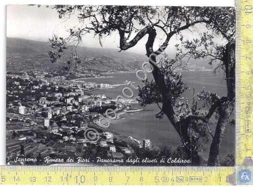 Cartolina - Postcard - San Remo - Oliveti di Coldirodi …