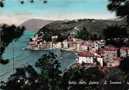 Cartolina - Postcard - San Terenzo panorama dall'alto 1953 VG