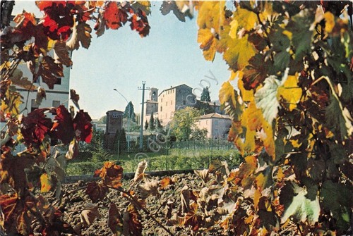 Cartolina - Postcard - San Vitale Baganza - Campanile e …