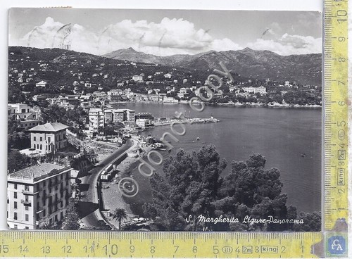 Cartolina - Postcard - Santa Margherita - Panorama - 1953
