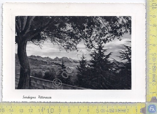 Cartolina - Postcard - Sardegna Pittoresca - 1954