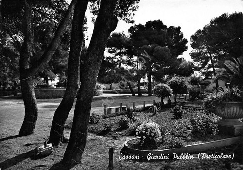 Cartolina - Postcard - Sassari - Giardini Pubblici - 1957