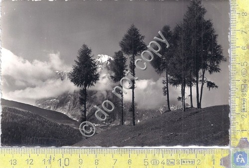 Cartolina - Postcard - Sassolungo - Timbro Albergo Funivia - …