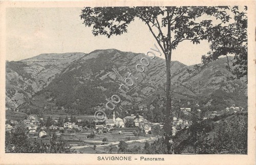 Cartolina - Postcard - Savignone - Panorama - 1937