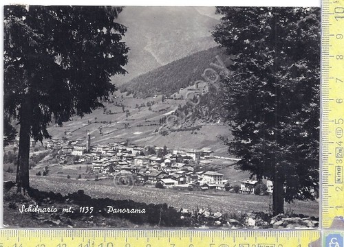 Cartolina - Postcard - Schilpario - Panorama - View - …