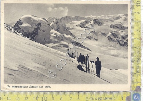 Cartolina - Postcard - Sci - in contemplazione durante una …