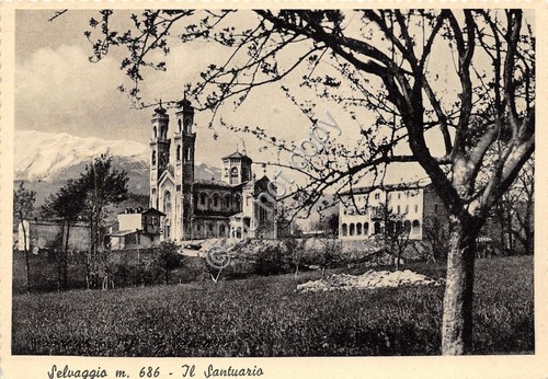 Cartolina - Postcard - Selvaggio - Il Santuario - anni …