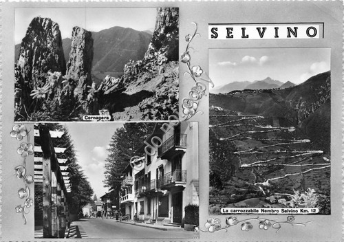 Cartolina - Postcard - Selvino - Multivisione - anni '50