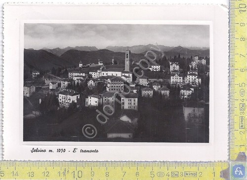 Cartolina - Postcard - Selvino - Panorama - 1952