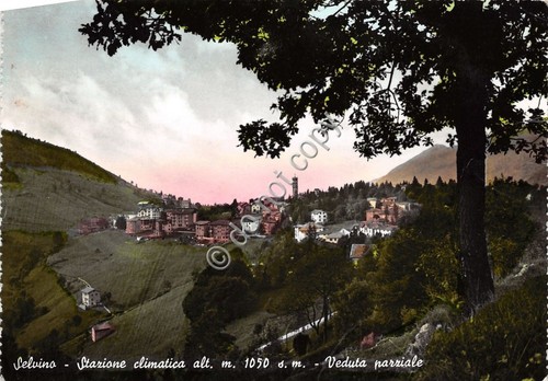 Cartolina - Postcard - Selvino - Panorama - 1955
