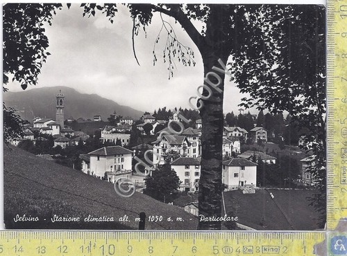 Cartolina - Postcard - Selvino - Panorama - anni '50