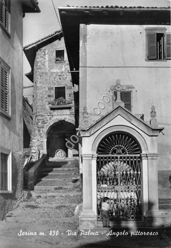 Cartolina - Postcard - Serina - Via Palma - 1966