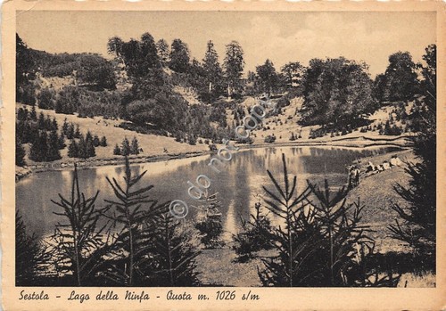 Cartolina - Postcard - Sestola - Lago della Ninfa - …