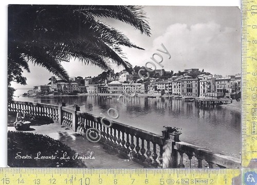 Cartolina - Postcard - Sestri Levante - la Penisola - …