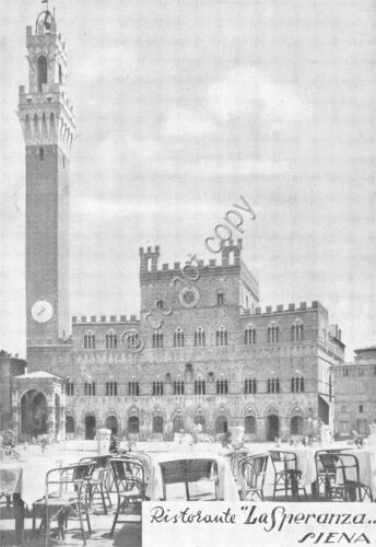 Cartolina - Postcard - Siena - Ristorante La Speranza - …