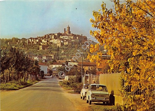 Cartolina - Postcard - Sinalunga - Panorama - auto d'epoca …