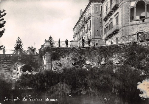 Cartolina - Postcard - Siracusa - Fontana Aretusa - animata …
