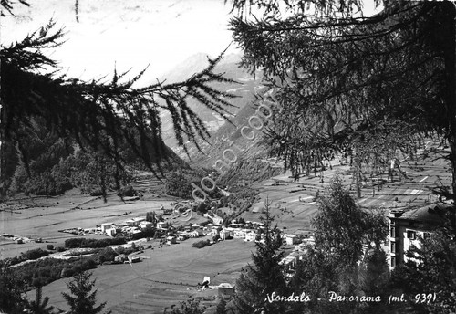 Cartolina - Postcard - Sondalo - Panorama - anni '60