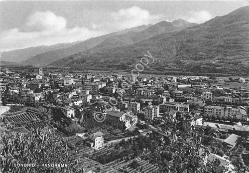Cartolina - Postcard - Sondrio - Panorama - anni '50
