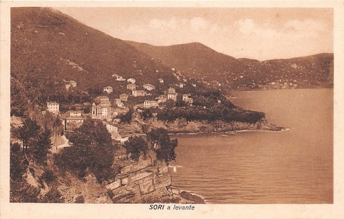 Cartolina - Postcard - Sori - Panorama a Levante - …