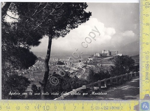 Cartolina - Postcard - Spoleto - dalla strada per Monteluco