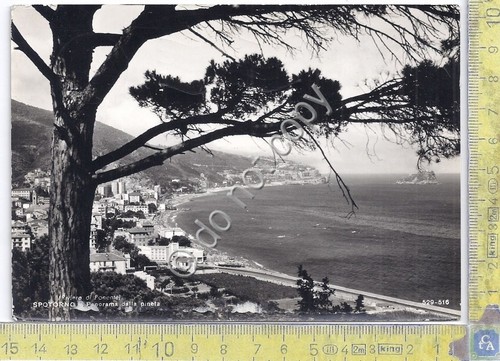 Cartolina - Postcard - Spoltorno - panorama - 1963 (Savona)