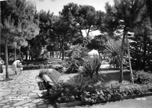 Cartolina - Postcard - Spotorno - Giardini - 1961