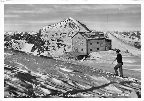 Cartolina - Postcard - Stelvio - Rifugio Nagler - Scorluzzo …
