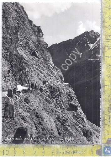Cartolina - Postcard - Strada del Passo di Gavia - …